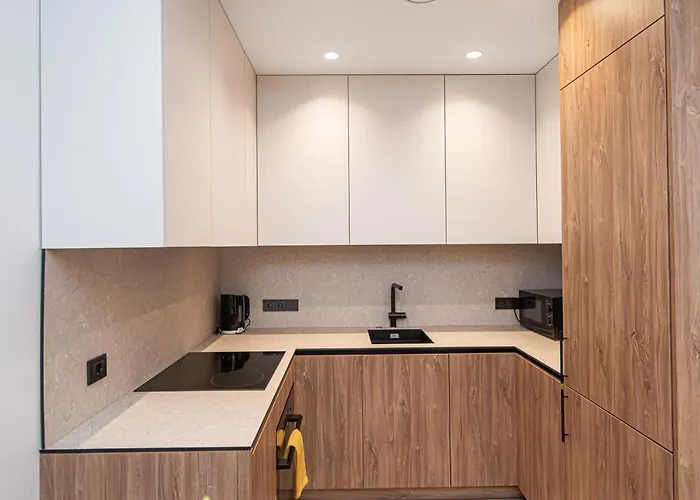 #stayhere - New & Stylish Minimalistic 1bdr Center Lejlighed Vilnius